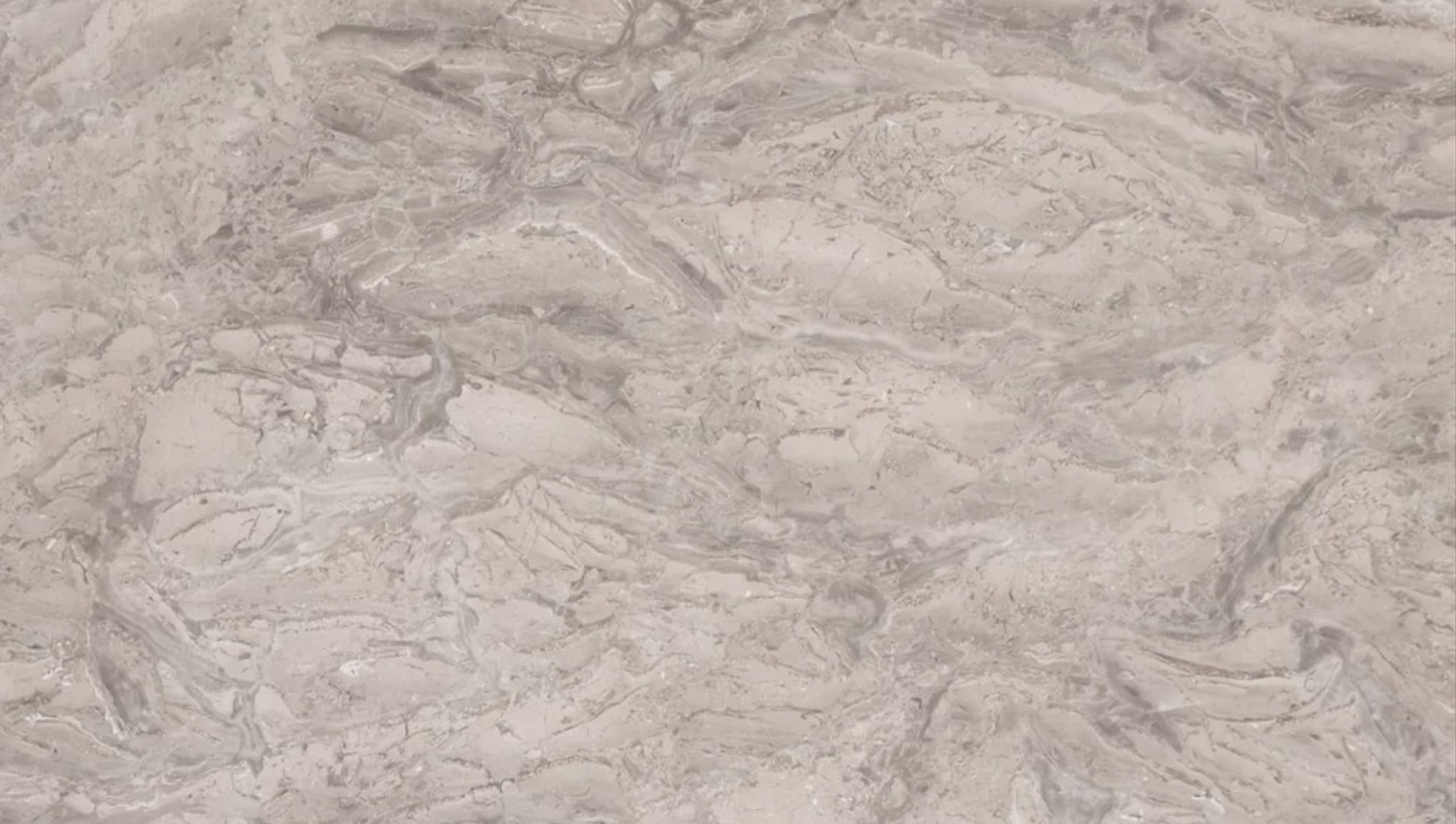 FEATHER GREY TEXTURE