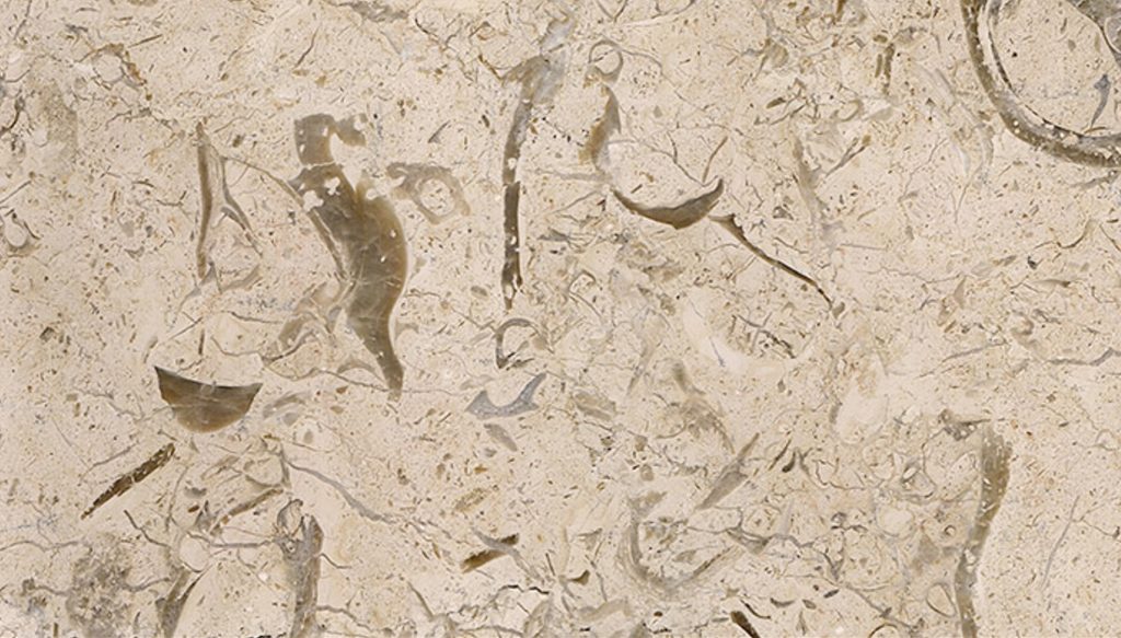 FOSSIL BEIGE TEXTURE 2