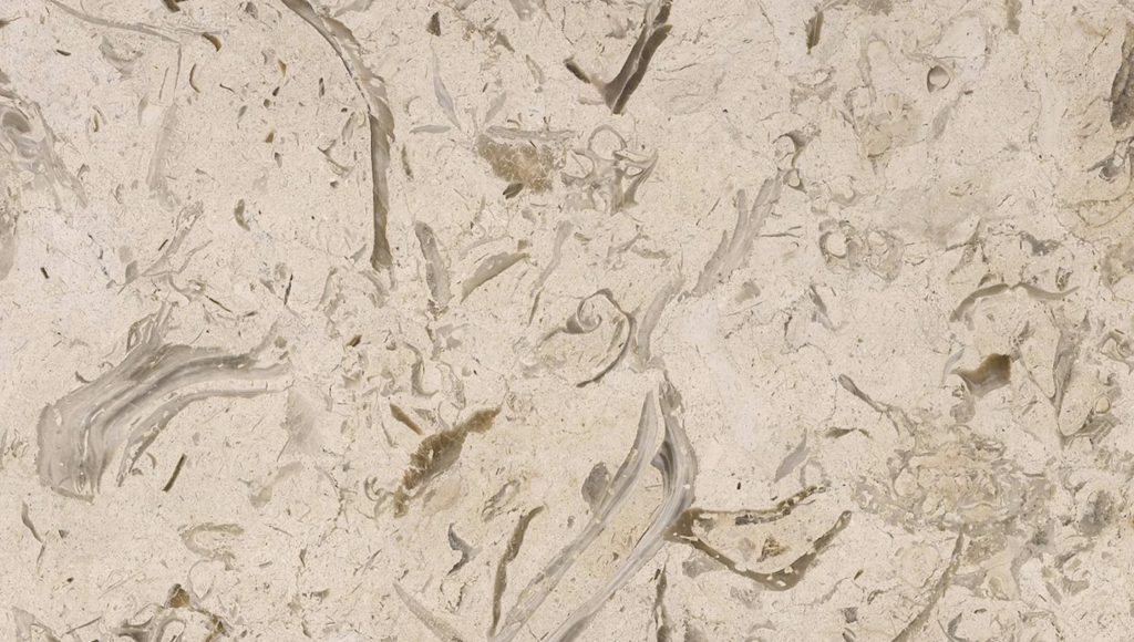 FOSSIL BEIGE