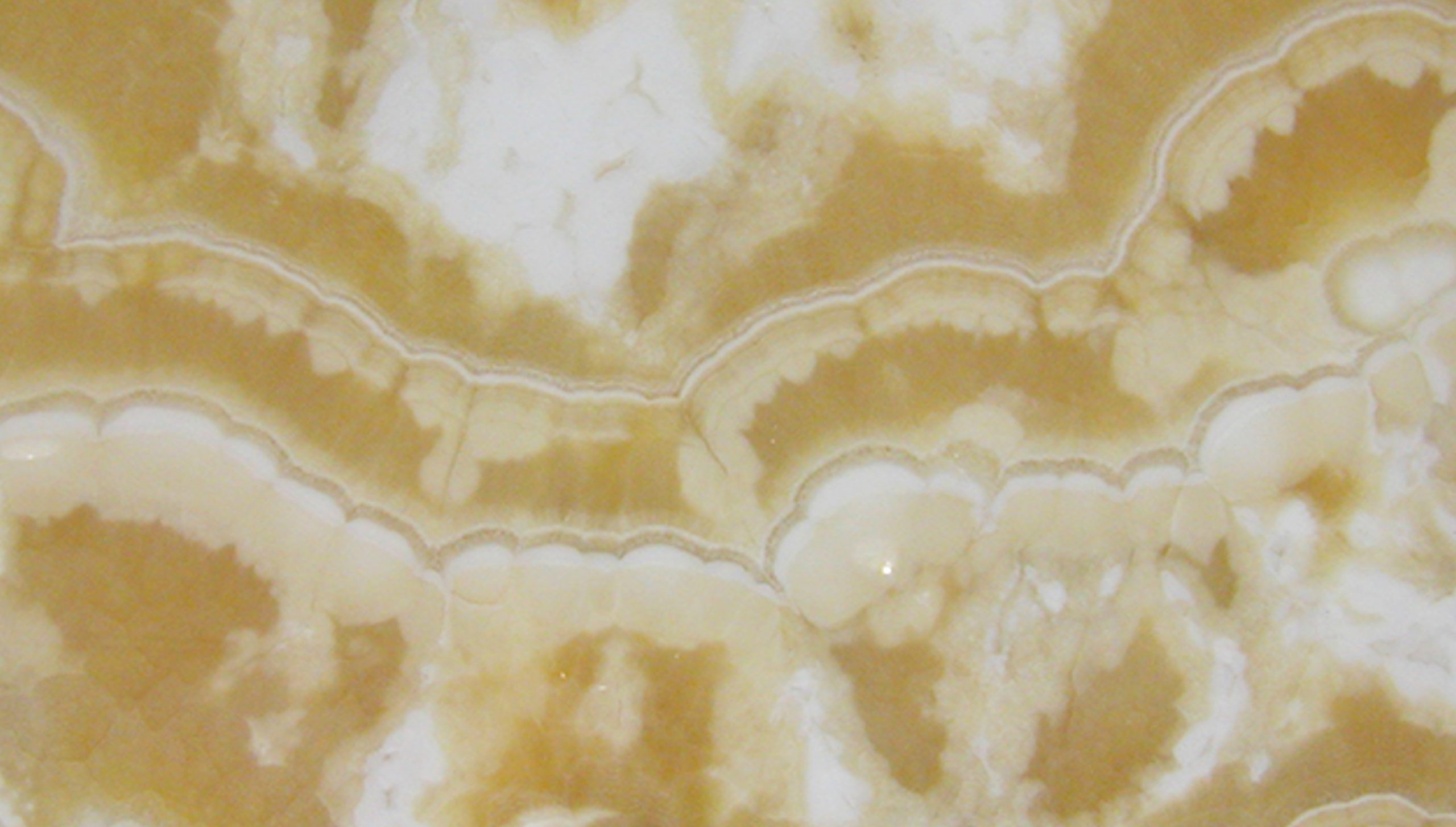 HONEY ONYX